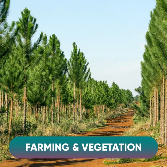 Farming & Vegetation