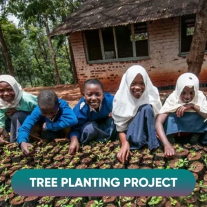 Tree Planting Project
